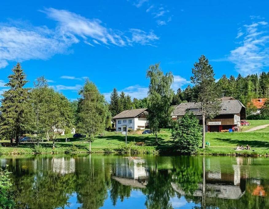 Ferienwohnung "Am Skilift" Herrischried Exteriör bild