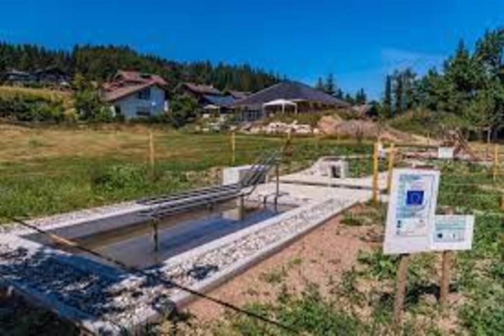 Ferienwohnung "Am Skilift" Herrischried Exteriör bild