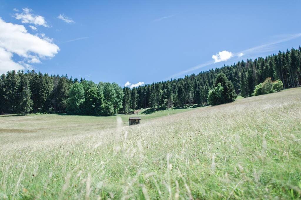 Ferienwohnung "Am Skilift" Herrischried Exteriör bild