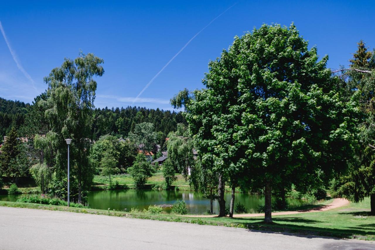 Ferienwohnung "Am Skilift" Herrischried Exteriör bild