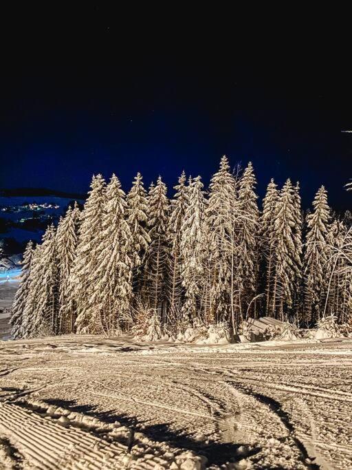 Ferienwohnung "Am Skilift" Herrischried Exteriör bild