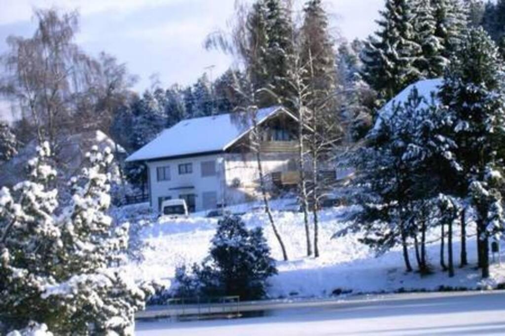 Ferienwohnung "Am Skilift" Herrischried Exteriör bild
