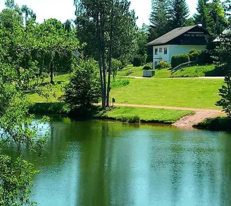 Ferienwohnung "Am Skilift" Herrischried Exteriör bild
