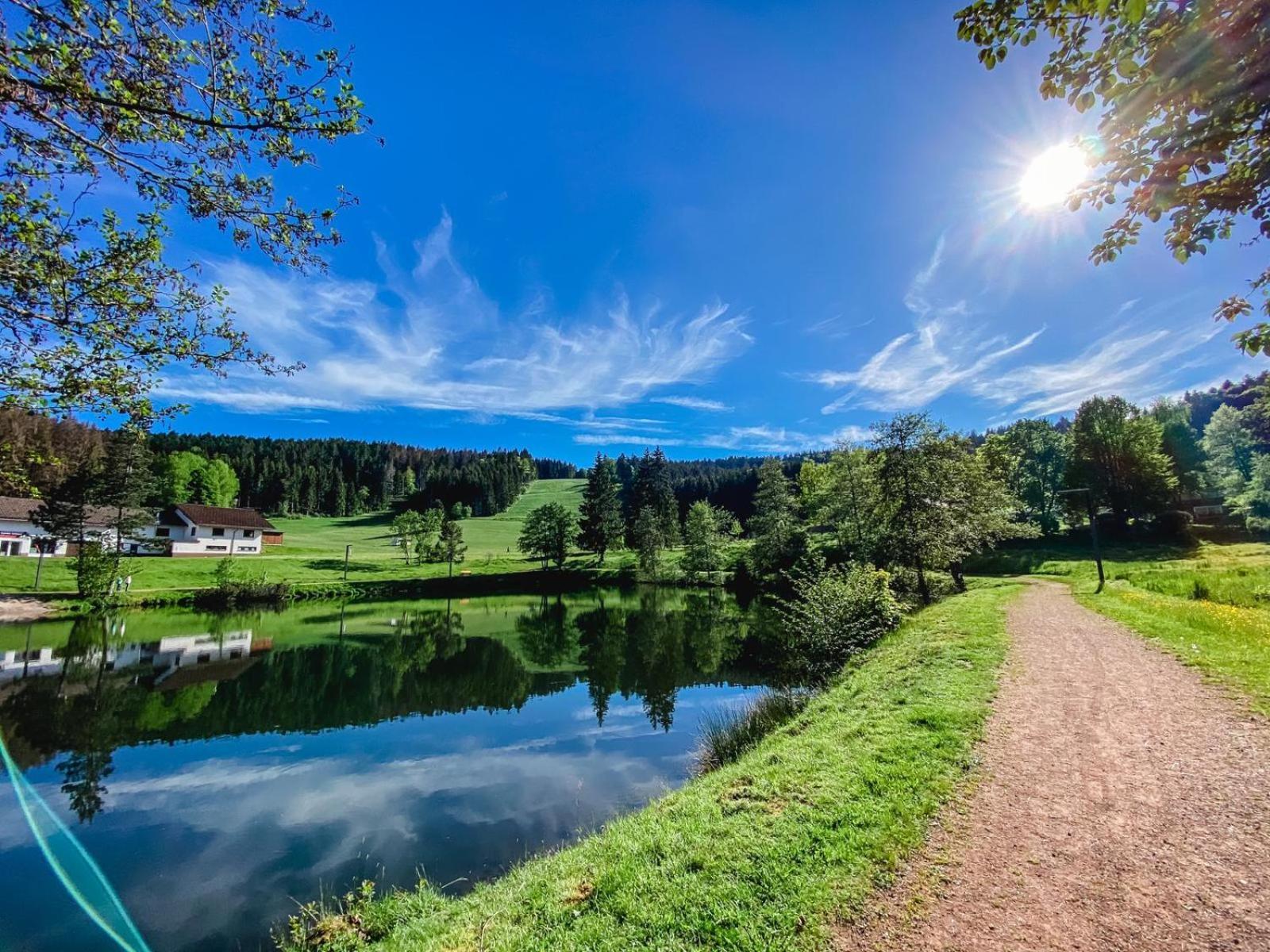 Ferienwohnung "Am Skilift" Herrischried Exteriör bild